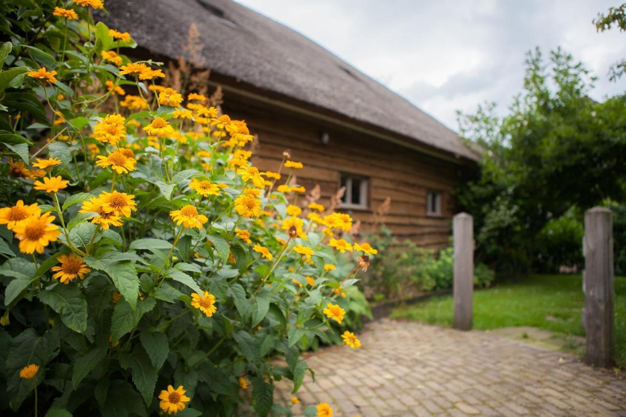 Aan De Aelder Esch Bed and Breakfast Aalden Exterior foto